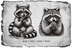 Adorable Raccoon Line Art Engraving Wildlife Vector Product Image 2