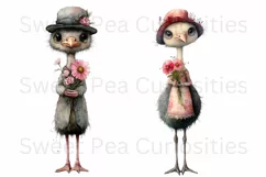 Birds, Ostrich, Ephemera, PNG, watercolor, Clipart Product Image 2