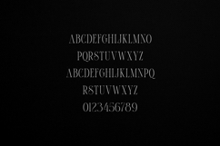 Thorn Tale Elegant Modern Serif Display Font Product Image 2