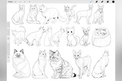 100 Procreate Cats Stamp Brushes Product Image 3