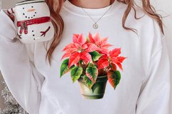 Christmas Houseplants Clipart Sublimation Product Image 2