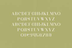 Inara Organic Serif Font Elegant Distressed Vintage Display Product Image 2