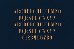 Daylight Dreams Elegant Luxury Serif Font Product Image 2