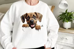 Breeds Of Peeking Dogs Clipart, Breeds of Peeking Dogs PNG Product Image 2