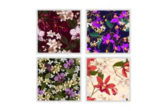 Orchid & Jasmine Flower Digital Paper | Flower Pattern Product Image 2
