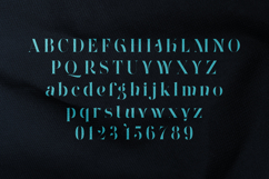 Wonderz Pulse Elegant Modern Serif Font Product Image 2