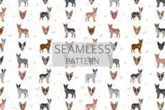 Texas Heeler dog Product Image 6