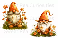 Gnome, Flowers, Fall, Spring, PNG, Clipart, Orange, Clipart Product Image 2
