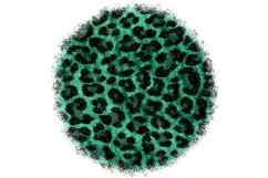 Abstract Animal Skin Sublimation Designs. Product Image 3