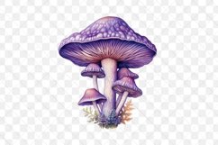 Aquarelle Pastel Mushroom Sublimation Product Image 3
