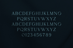 Seafont Elegant Branding Serif Font Product Image 2