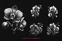 10 Bundle Dark Art Orchid Flower Tropical Floral Botanical Product Image 3