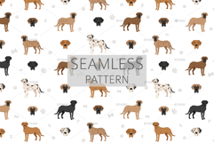 Labradane. Labrador/Great Dane mix Product Image 6