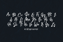 Lelushka Modern Handwritten Script Font Product Image 2