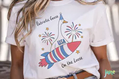 4th of July Silly Goose SVG PNG Product Image 2