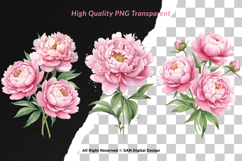 15 Bundle Watercolor Pink Peony Flower Blush Romantic Product Image 2