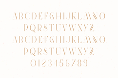 Future Flow Futuristic Elegant Serif Font Product Image 2