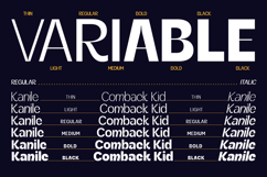 Kanile - Family Aesthetic Sans Serif Font Product Image 2