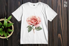 Blush Rose Flower Clipart Sublimation PNG Product Image 2
