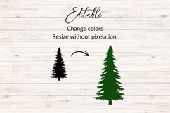 Pine Tree Silhouette SVG Product Image 2