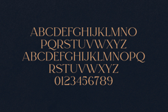 Regal Serif Elegant Modern Display Typeface Product Image 2