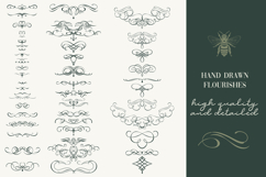 Calligraphic set of vintage flourishes Product Image 4