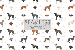 American Staghound dog Product Image 6