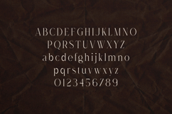 Dree Elegant Modern Serif Font Product Image 2