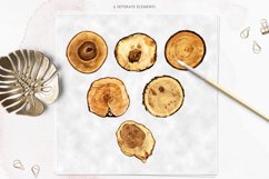 Wood Slices Clipart, Woodland Clipart Product Image 2