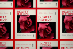 Inword - UNique Display Serif Font Product Image 2