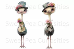 Birds, Ostrich, Ephemera, PNG, watercolor, Clipart Product Image 2