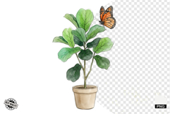 Summer Wildflowers &amp; Bird &amp; Insect Clipart - Houseplant PNG Product Image 1