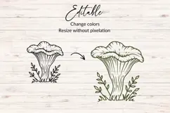 Black Trumpet Mushroom SVG, PNG, DXF Product Image 2