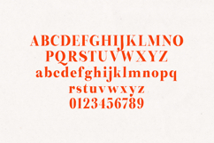 Preta Editorial Serif Font Family Product Image 2