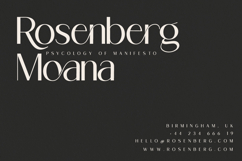 Ragion | Sans Serif Font Product Image 2