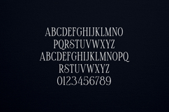 Maturation Lines Modern Classic Serif Typeface Product Image 2