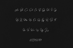 Stolid Signature Script Modern Elegant Typeface Product Image 2