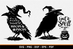 Funny Halloween SVG Design, Raven SVG, Witch SVG Product Image 3