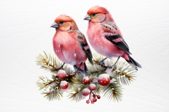 Chirstmas Birds Clipart PNG Product Image 2