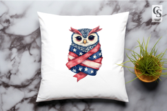 Patriotic Owl Clipart PNG Product Image 2