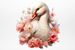 Chirstmas Birds Clipart PNG Product Image 2
