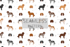 English Cocker Spaniel working-type Product Image 6