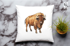American Bison Watercolor Clipart Sublimation PNG Product Image 2