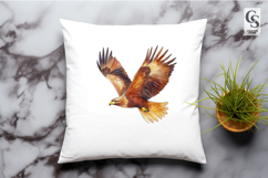 Flying Bald Eagle Illustration Clipart Sublimation PNG Product Image 2