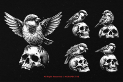 10 Bundle Dark Art Sparrow Bird Animal Wild Nature Wings Product Image 3