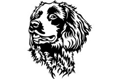 Cocker Spaniel/Dog Svg/Png/Jpg/Ai/Vector purebred breed/Pet Product Image 3