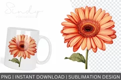 Daisy flowers watercolor clipart, Sublimation PNG Product Image 2