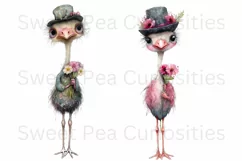 Birds, Ostrich, Ephemera, PNG, watercolor, Clipart Product Image 2