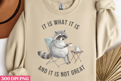 It is what it is and it PNG, Funny Raccoon Sublimation PNG Product Image 2