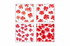 Watercolor Red Geranium Flower Digital Papers Product Image 2
